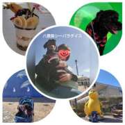 ヒメ日記 2025/02/14 13:46 投稿 白川 誘惑マル秘ミセス