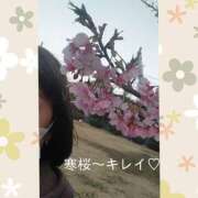 ヒメ日記 2025/03/11 15:17 投稿 白川 誘惑マル秘ミセス