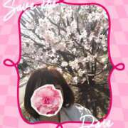 ヒメ日記 2025/03/24 15:21 投稿 白川 誘惑マル秘ミセス