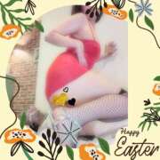 ヒメ日記 2025/04/14 08:24 投稿 白川 誘惑マル秘ミセス