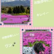 ヒメ日記 2025/04/21 15:19 投稿 白川 誘惑マル秘ミセス