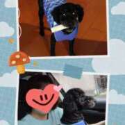 ヒメ日記 2025/05/03 12:15 投稿 白川 誘惑マル秘ミセス