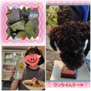 ヒメ日記 2025/05/05 21:54 投稿 白川 誘惑マル秘ミセス