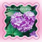 ヒメ日記 2025/06/07 16:18 投稿 白川 誘惑マル秘ミセス