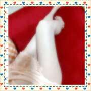 ヒメ日記 2025/06/23 15:52 投稿 白川 誘惑マル秘ミセス