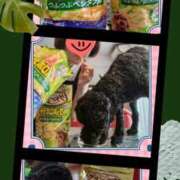 ヒメ日記 2025/06/25 19:39 投稿 白川 誘惑マル秘ミセス