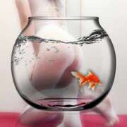 ヒメ日記 2025/06/26 08:04 投稿 白川 誘惑マル秘ミセス