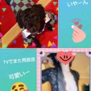 ヒメ日記 2025/06/29 17:47 投稿 白川 誘惑マル秘ミセス