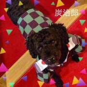 ヒメ日記 2025/07/19 08:13 投稿 白川 誘惑マル秘ミセス