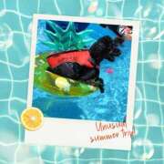 ヒメ日記 2025/07/20 07:53 投稿 白川 誘惑マル秘ミセス