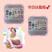 ヒメ日記 2025/07/20 16:21 投稿 白川 誘惑マル秘ミセス