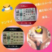 ヒメ日記 2025/10/19 16:10 投稿 白川 誘惑マル秘ミセス