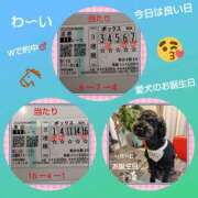 ヒメ日記 2025/11/15 17:40 投稿 白川 誘惑マル秘ミセス