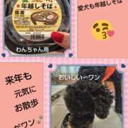 ヒメ日記 2025/12/31 18:10 投稿 白川 誘惑マル秘ミセス