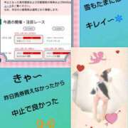 ヒメ日記 2026/02/08 09:57 投稿 白川 誘惑マル秘ミセス