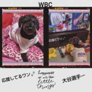 ヒメ日記 2026/02/27 21:10 投稿 白川 誘惑マル秘ミセス