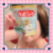 ヒメ日記 2026/03/04 15:13 投稿 白川 誘惑マル秘ミセス