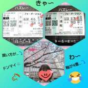 ヒメ日記 2026/03/29 17:29 投稿 白川 誘惑マル秘ミセス