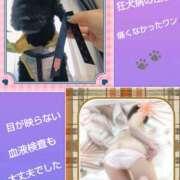 ヒメ日記 2026/04/14 19:15 投稿 白川 誘惑マル秘ミセス