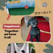 ヒメ日記 2026/04/19 07:48 投稿 白川 誘惑マル秘ミセス