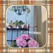 ヒメ日記 2026/04/26 07:37 投稿 白川 誘惑マル秘ミセス