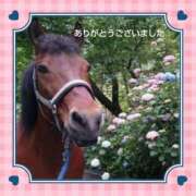 ヒメ日記 2026/05/28 16:18 投稿 白川 誘惑マル秘ミセス