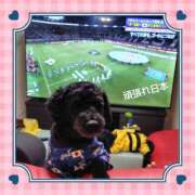 白川 白川です🌹 誘惑マル秘ミセス