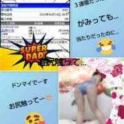 ヒメ日記 2026/06/11 09:57 投稿 白川 誘惑マル秘ミセス