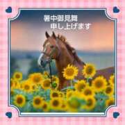 ヒメ日記 2026/08/02 07:53 投稿 白川 誘惑マル秘ミセス