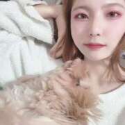 ヒメ日記 2024/12/23 19:23 投稿 TSUBASA GINGIRA☆TOKYO～ギンギラ東京～