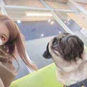 ヒメ日記 2024/12/27 17:16 投稿 TSUBASA GINGIRA☆TOKYO～ギンギラ東京～