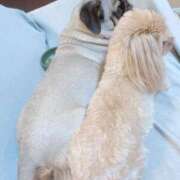 ヒメ日記 2025/02/05 01:26 投稿 TSUBASA GINGIRA☆TOKYO～ギンギラ東京～