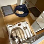 ヒメ日記 2025/02/06 23:57 投稿 TSUBASA GINGIRA☆TOKYO～ギンギラ東京～