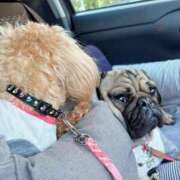 ヒメ日記 2025/05/14 10:19 投稿 TSUBASA GINGIRA☆TOKYO～ギンギラ東京～