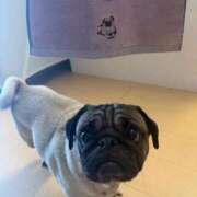 ヒメ日記 2025/06/25 16:14 投稿 TSUBASA GINGIRA☆TOKYO～ギンギラ東京～