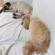 ヒメ日記 2025/07/04 01:14 投稿 TSUBASA GINGIRA☆TOKYO～ギンギラ東京～