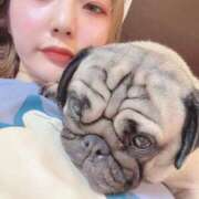 ヒメ日記 2025/07/11 21:44 投稿 TSUBASA GINGIRA☆TOKYO～ギンギラ東京～