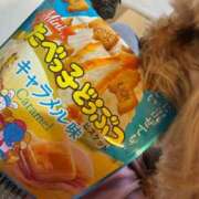 ヒメ日記 2025/07/13 22:12 投稿 TSUBASA GINGIRA☆TOKYO～ギンギラ東京～