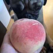 ヒメ日記 2025/07/22 19:59 投稿 TSUBASA GINGIRA☆TOKYO～ギンギラ東京～