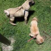 ヒメ日記 2025/09/23 21:50 投稿 TSUBASA GINGIRA☆TOKYO～ギンギラ東京～