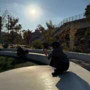 ヒメ日記 2025/11/21 01:14 投稿 TSUBASA GINGIRA☆TOKYO～ギンギラ東京～