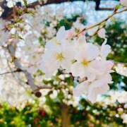 ヒメ日記 2025/03/26 10:35 投稿 斉藤ちか 乳ビーナス(New Venus)