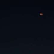 ヒメ日記 2025/09/08 08:19 投稿 斉藤ちか 乳ビーナス(New Venus)