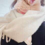 ヒメ日記 2025/11/19 10:40 投稿 斉藤ちか 乳ビーナス(New Venus)