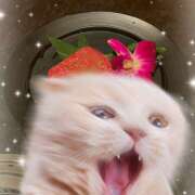 ヒメ日記 2025/11/29 22:59 投稿 斉藤ちか 乳ビーナス(New Venus)