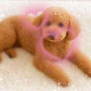 ヒメ日記 2025/11/30 22:55 投稿 斉藤ちか 乳ビーナス(New Venus)