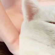 斉藤ちか おはよ！ 乳ビーナス(New Venus)