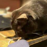 ヒメ日記 2025/12/12 10:03 投稿 斉藤ちか 乳ビーナス(New Venus)