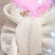 斉藤ちか あと2日 乳ビーナス(New Venus)