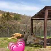 ヒメ日記 2026/04/19 22:11 投稿 斉藤ちか 乳ビーナス(New Venus)